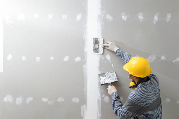 Mold Remediation for Vacation Homes